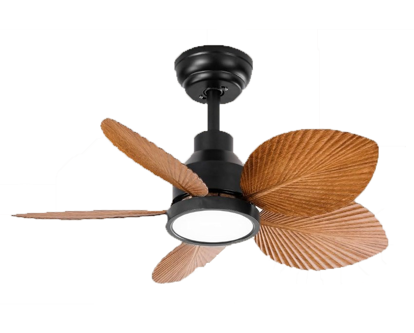 9--Ventilador hojas de madera CDMX